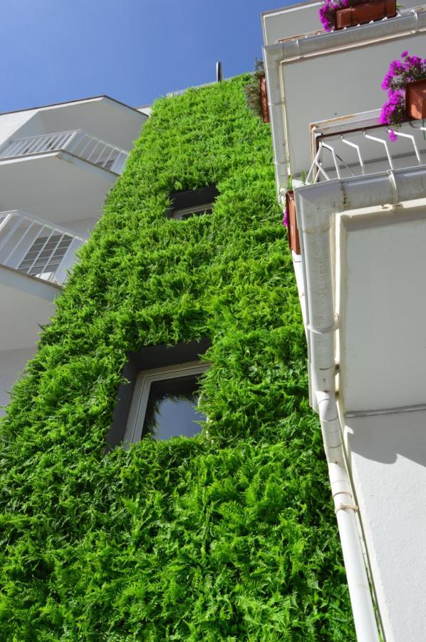 Hostal Mar Del Plata (Adults Only) El Arenal  Ngoại thất bức ảnh