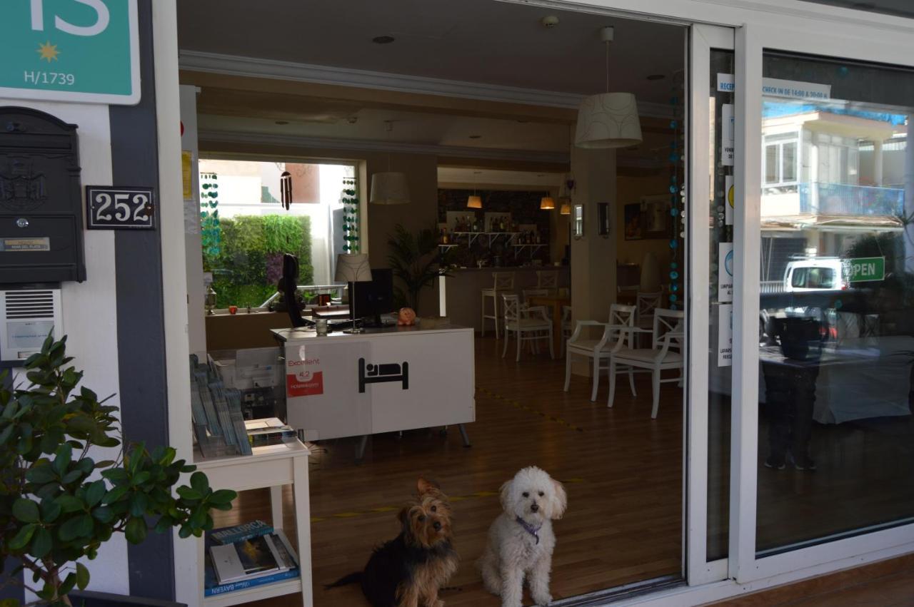 Hostal Mar Del Plata (Adults Only) El Arenal  Ngoại thất bức ảnh