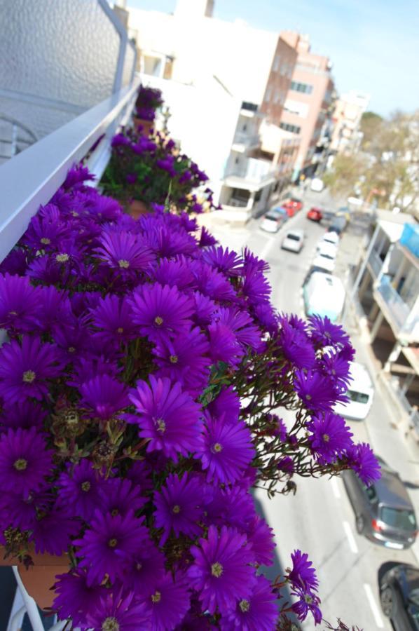Hostal Mar Del Plata (Adults Only) El Arenal  Ngoại thất bức ảnh